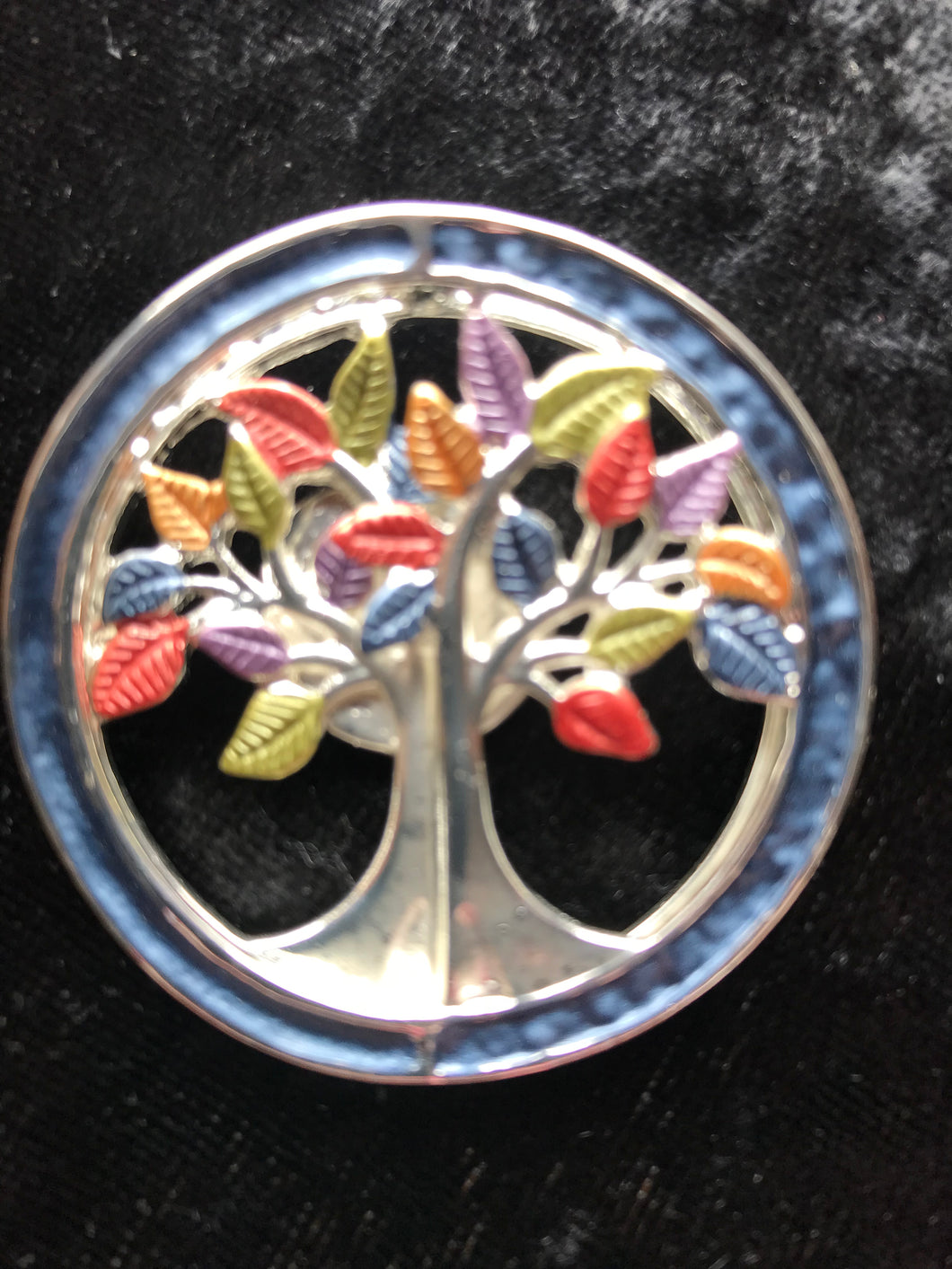 Magnetic Brooch